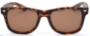 Risky - Matt Tortoiseshell